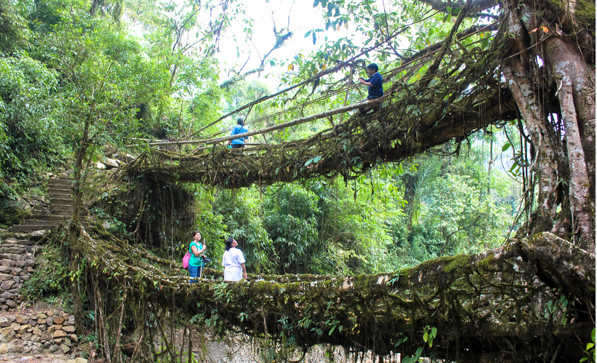 Mystical Meghalaya Tour Package – 6 Days / 5 Nights