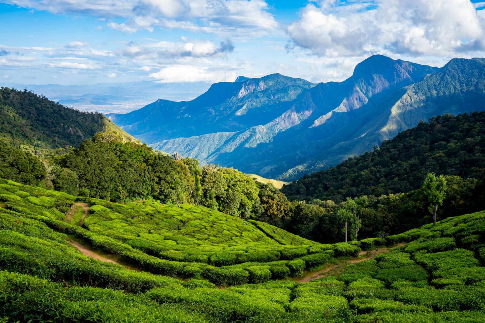 Kerala Delight With Houseboat Stay – 6 Days / 5 Nights