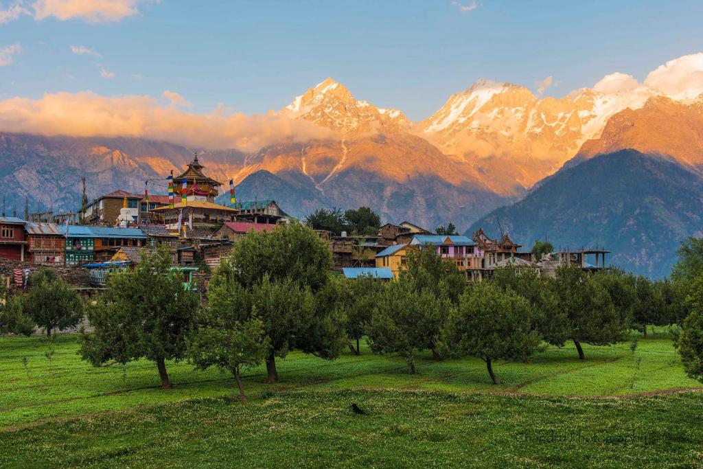 Himachal Tour Package – 7 Days and 6 Nights image 4