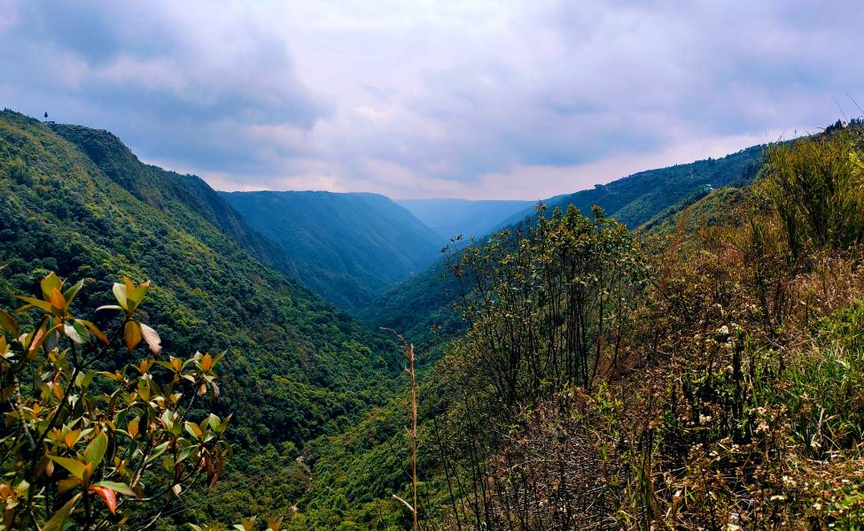 Kaziranga and Meghalaya Tour Package – 7 Days / 6 Nights image 6