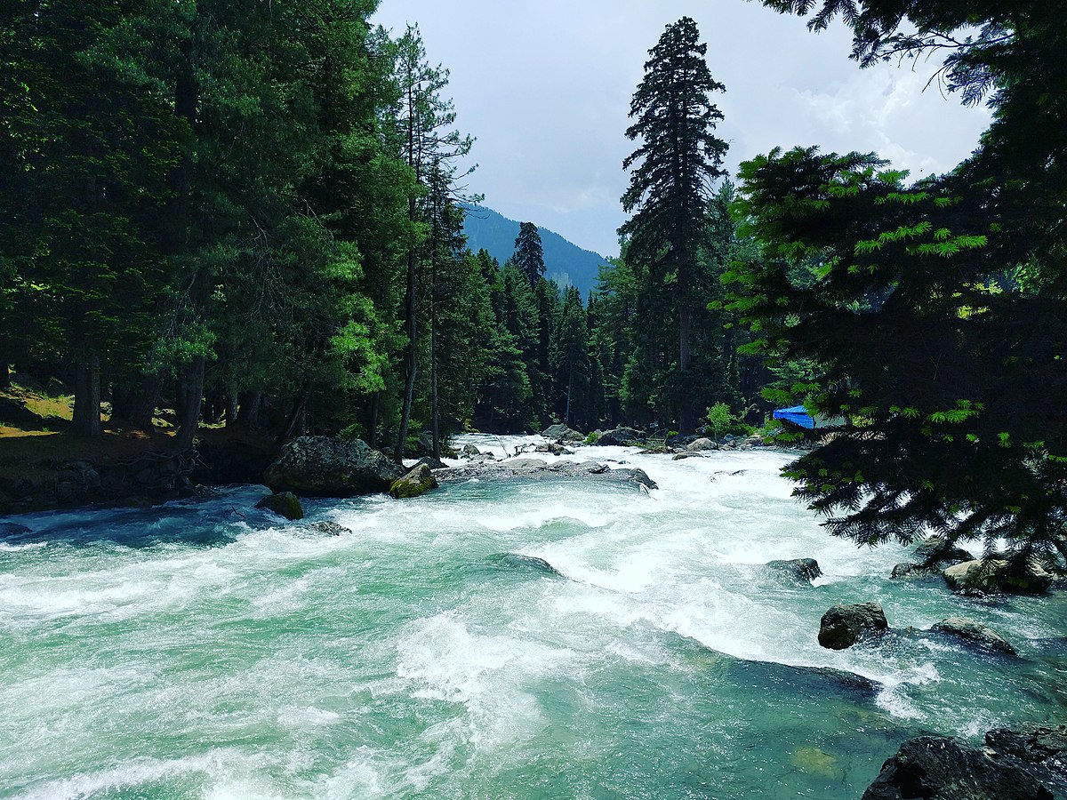 Romantic Kashmir Honeymoon Package – 5 Nights / 6 Days image 2