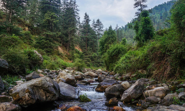 Offbeat Himachal Pradesh Tour Package – 5 Nights / 6 Days image 2