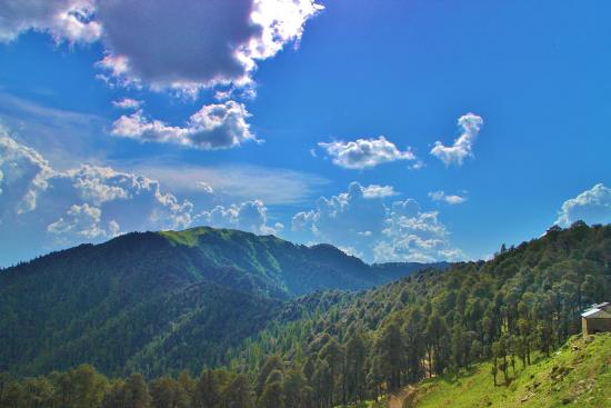 Offbeat Himachal Pradesh Tour Package – 5 Nights / 6 Days image 4