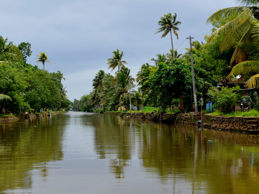 Tales of Kerala Tour Package – 5 Days / 4 Nights image 5