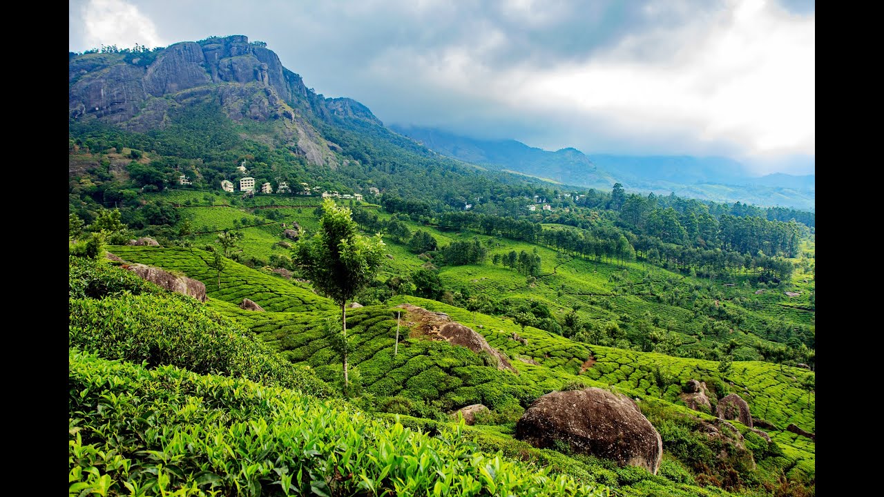 Kerala Delight With Houseboat Stay – 6 Days / 5 Nights image 2