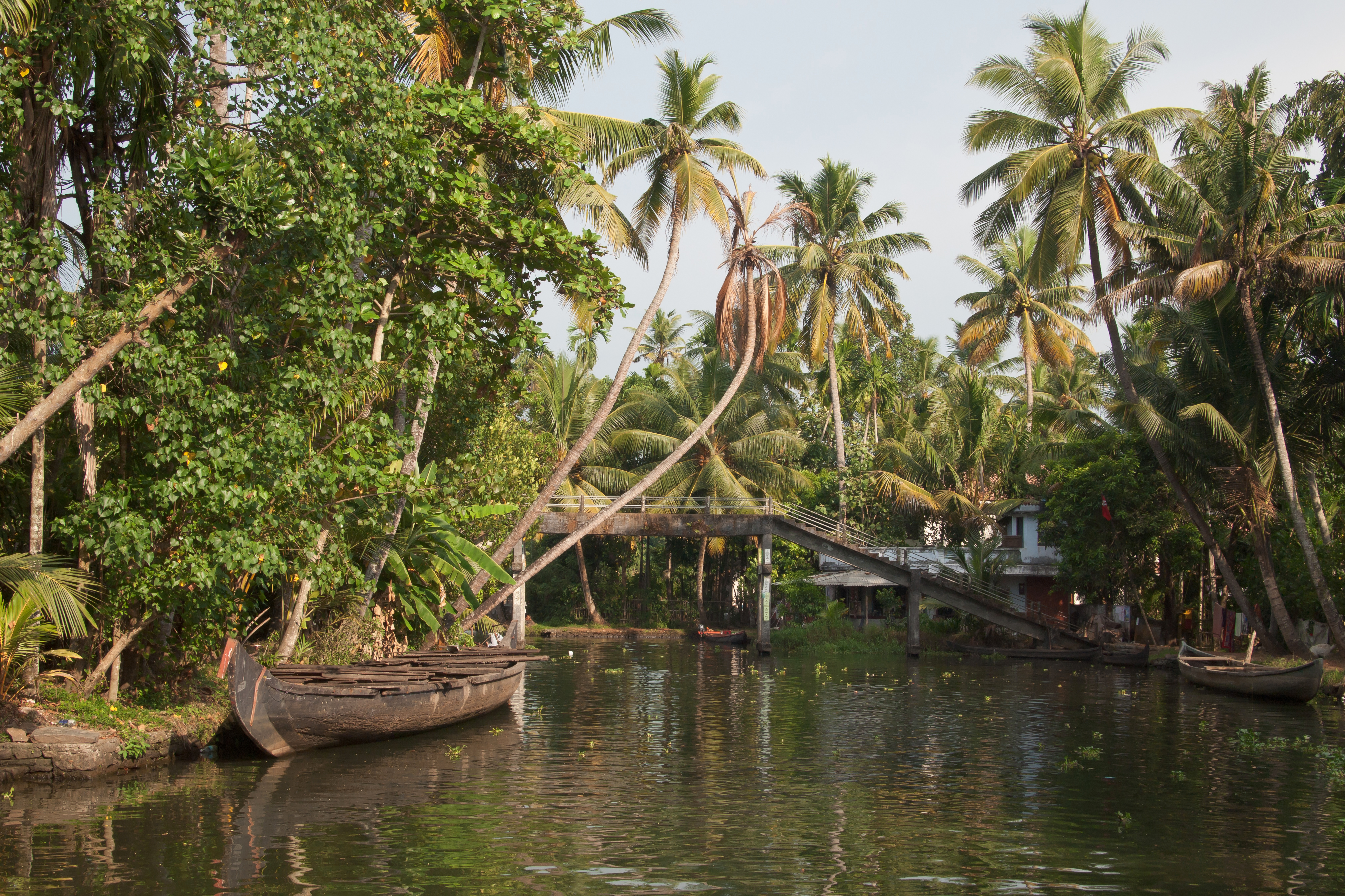 Tales of Kerala Tour Package – 5 Days / 4 Nights image 1