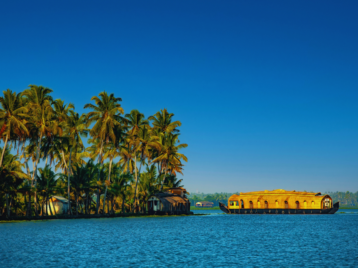 Tales of Kerala Tour Package – 5 Days / 4 Nights image 4