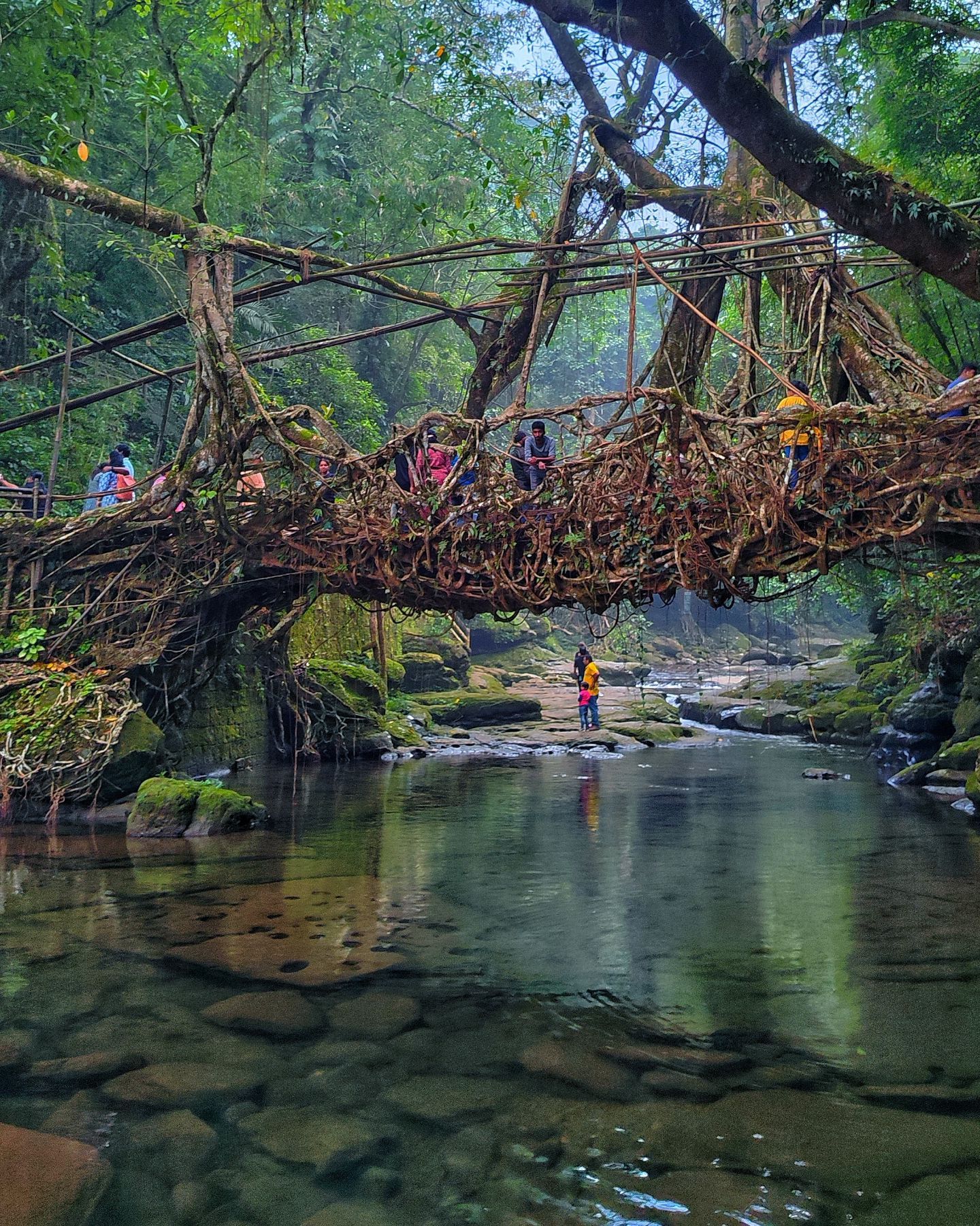 Meghalaya Offbeat Explorer – 9 Days / 8 Nights image 3