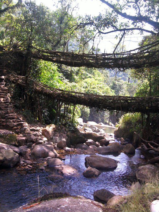 Meghalaya Adventure with Mawryngkhang Trek – 6 Days / 5 Nights image 2