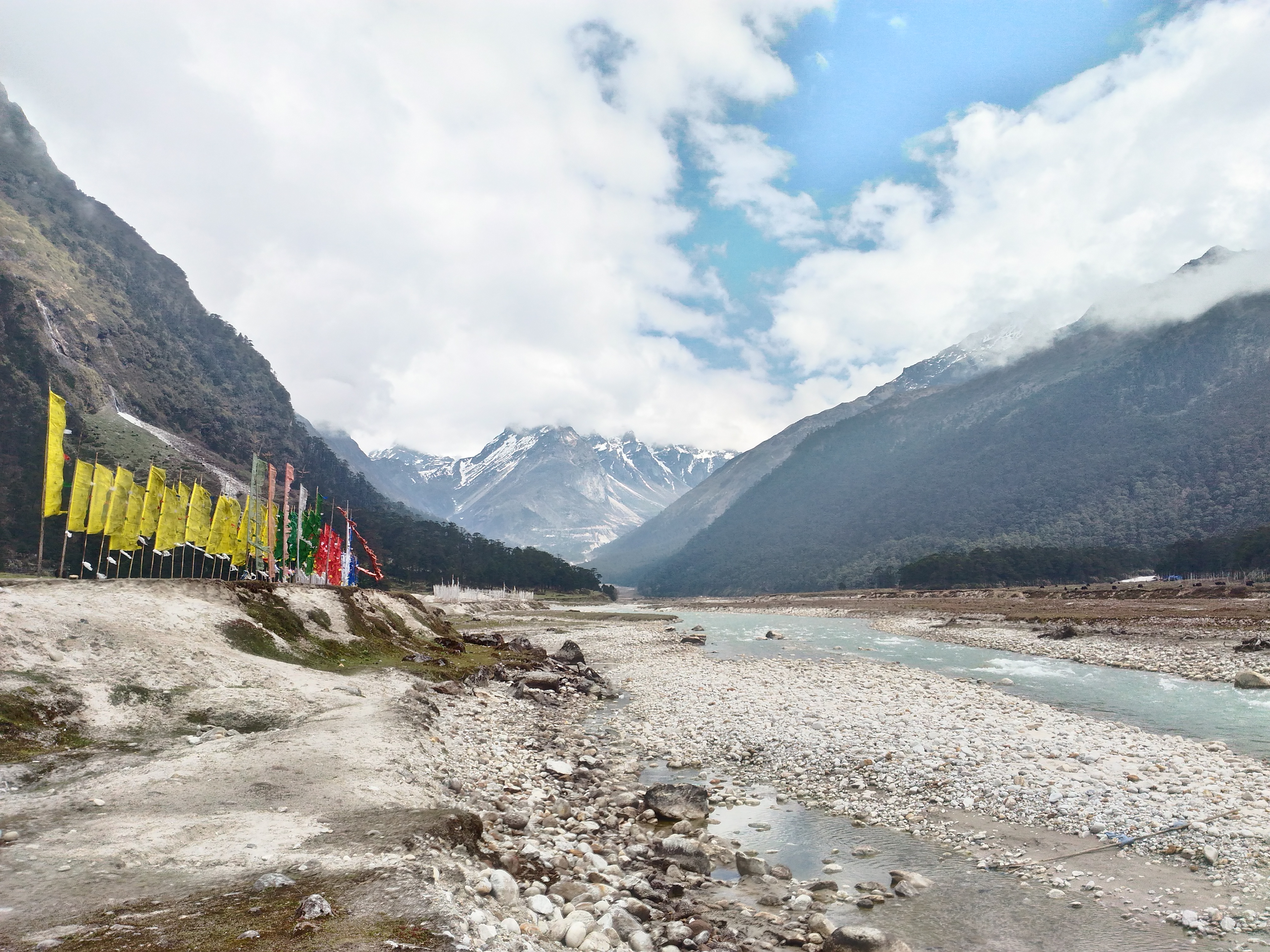 Complete North Sikkim & Darjeeling Explorer Tour – 9 Nights / 10 Days image 5