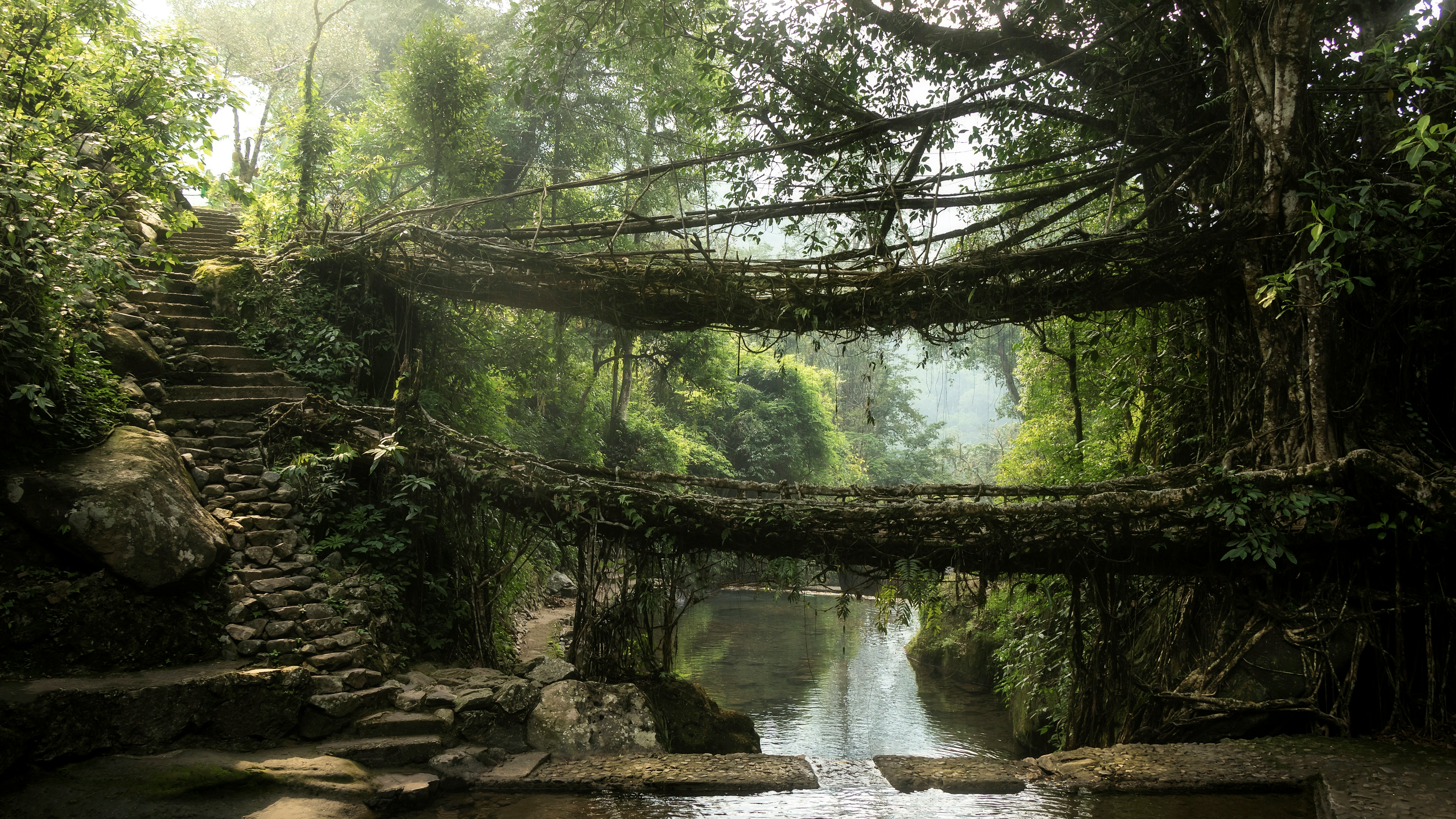 Is trekking to the Living Root Bridges worth it?