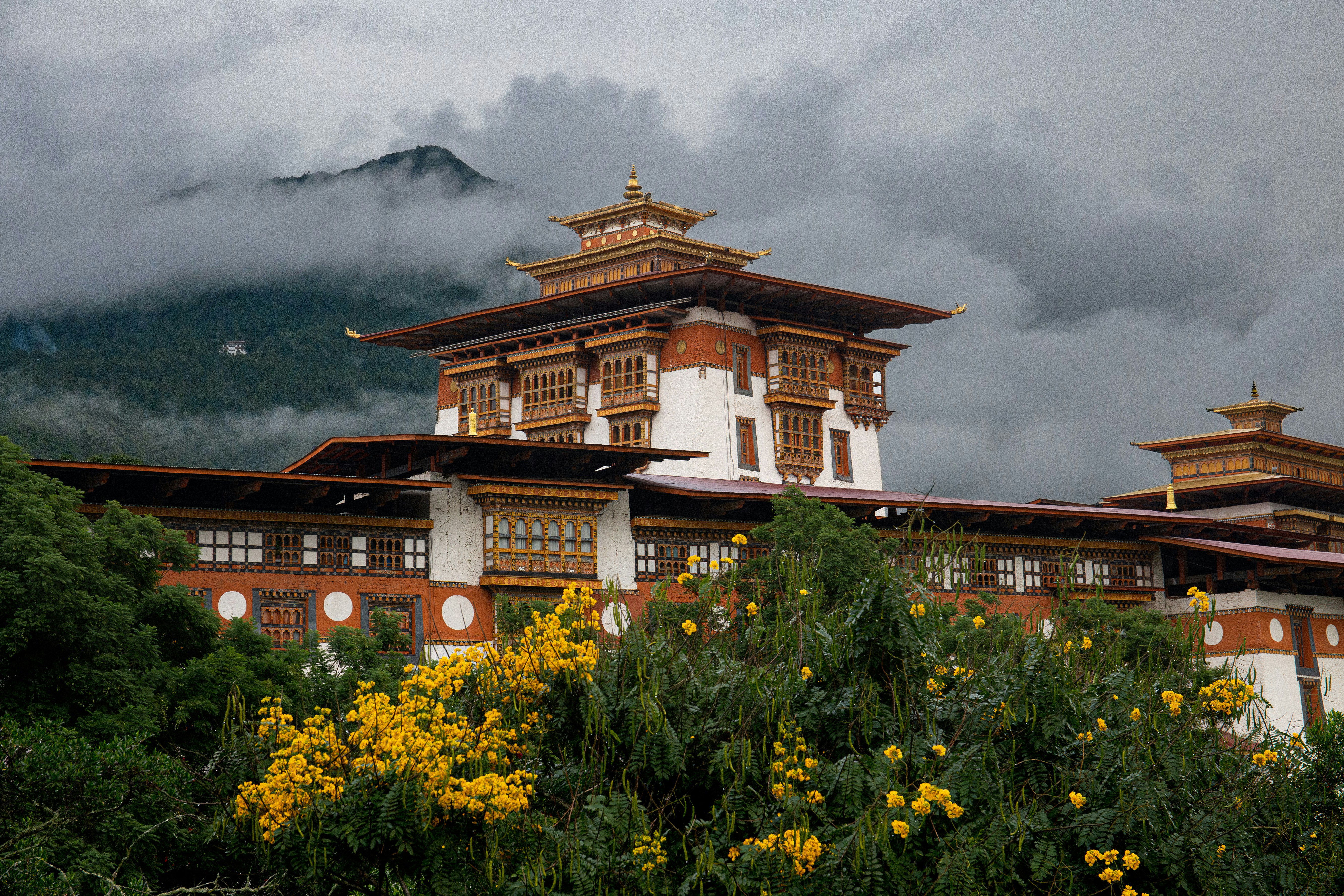 Punakha Valley: Best Things to See and Do