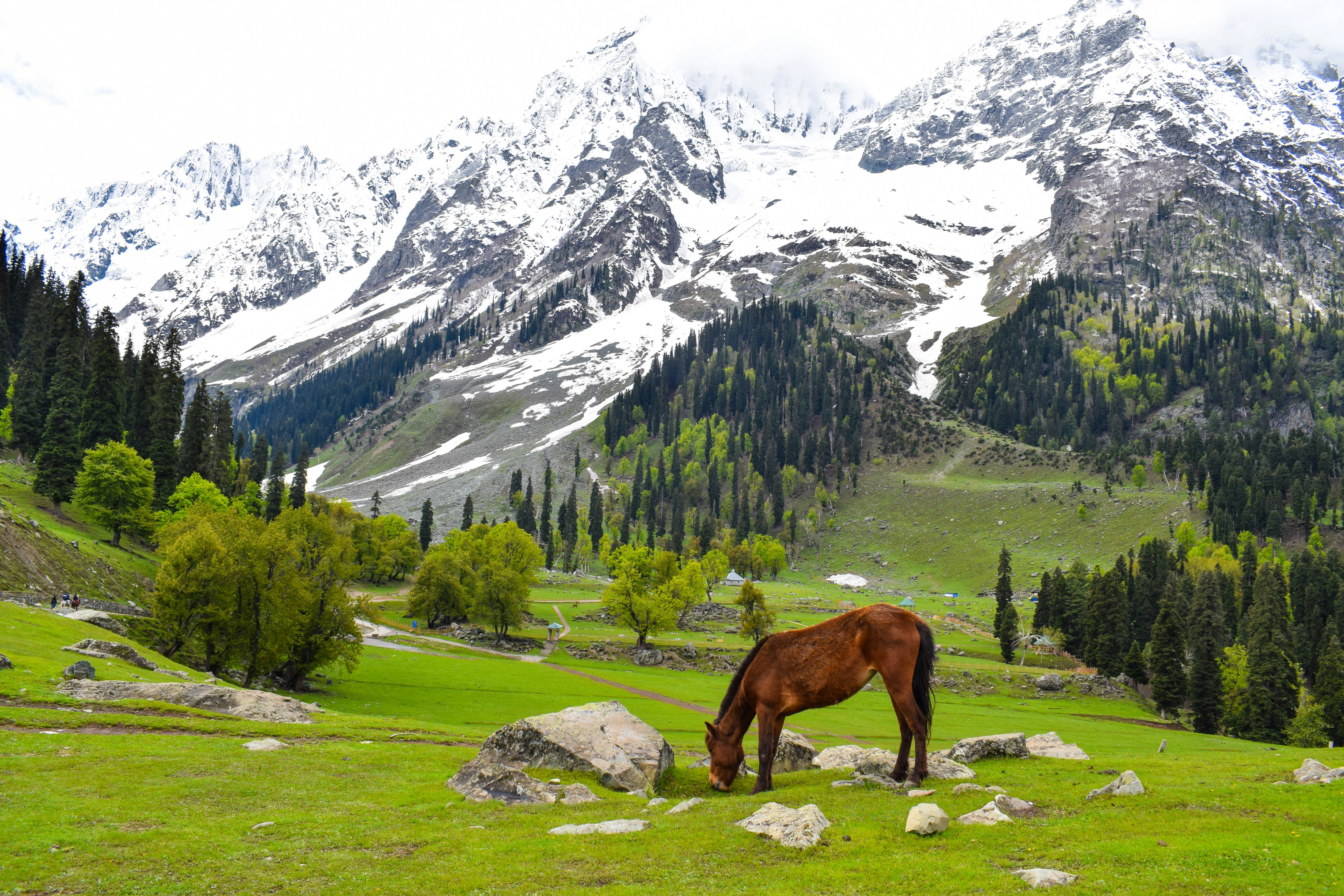 6 Days Kashmir Tour Package